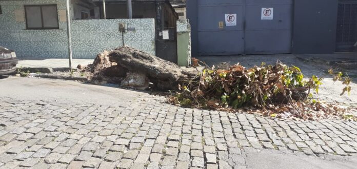 Chuvas no Rio causam estragos em Ramos