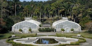 Jardim Botânico São Paulo Dia Mundial do Meio Ambiente